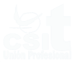 Logo CSIT